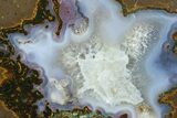 Colorful Polished Thunderegg Half - Nevada #337858-1
